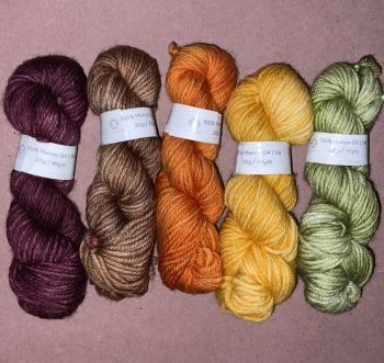 Autumn Air * DK Treat Pack - 5 minis / 20g each - 100% Merino - Image 3