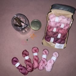 Piggy Party * DK Treat Pack - 5 minis / 20g each - 100% Merino