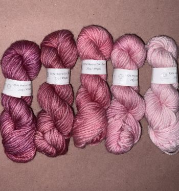 Piggy Party * DK Treat Pack - 5 minis / 20g each - 100% Merino - Image 3