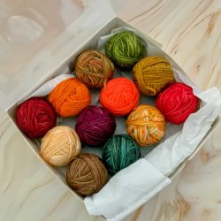 Leaf Peeping Snack Pack - FW