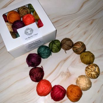Leaf Peeping Snack Pack - FW - Image 3