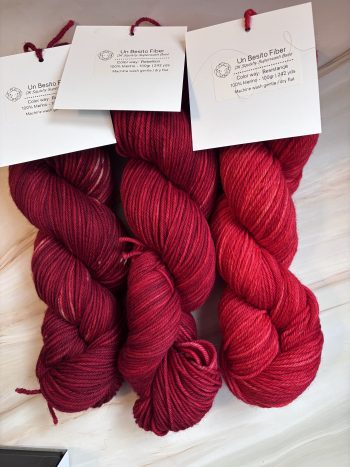 Rebellion Red DK Squishy - 100% Merino - Image 3